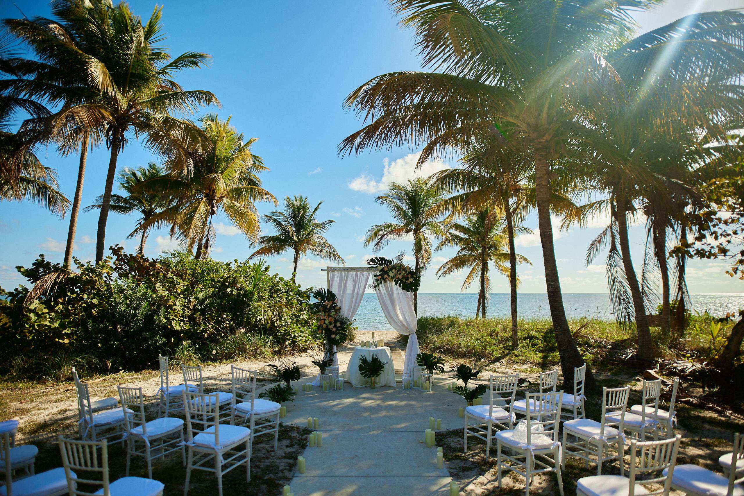 Marry Me letters with sparks among palm trees