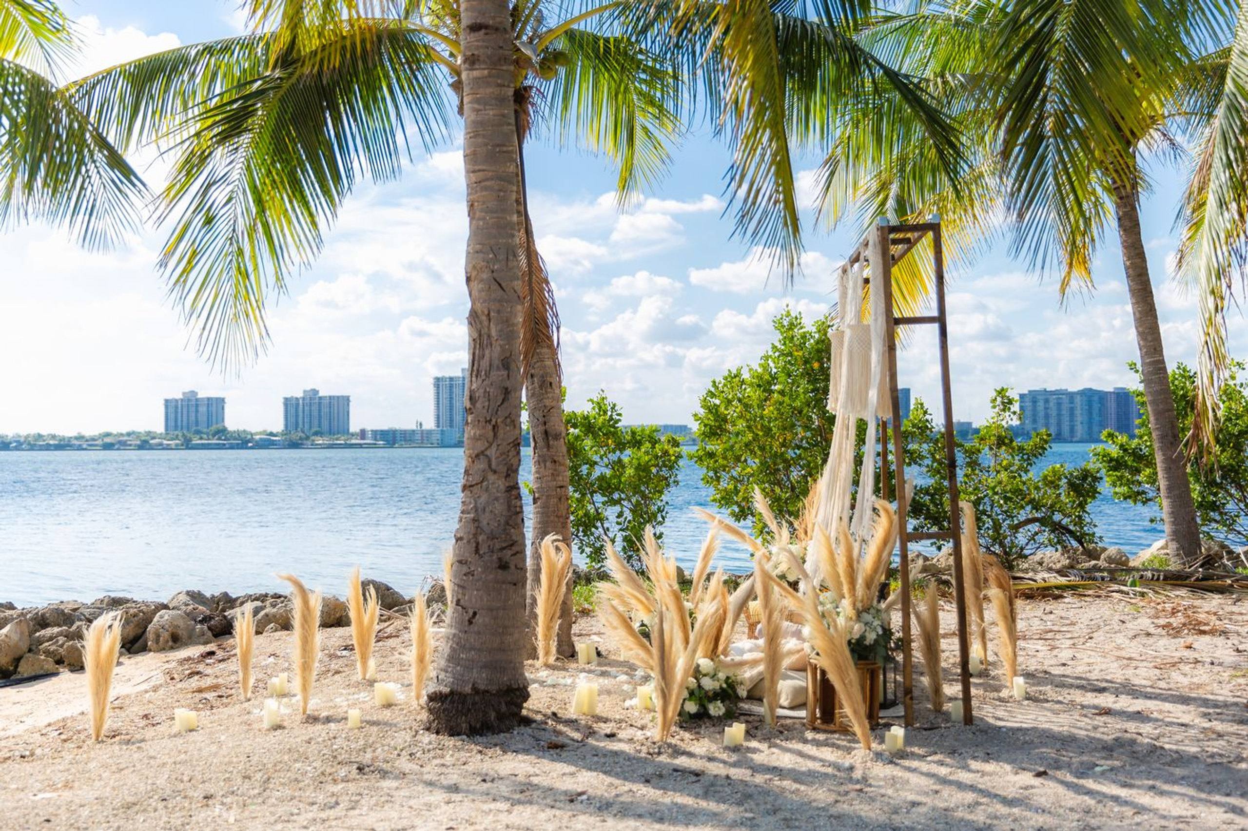 Tropical beach setup beneath palm trees