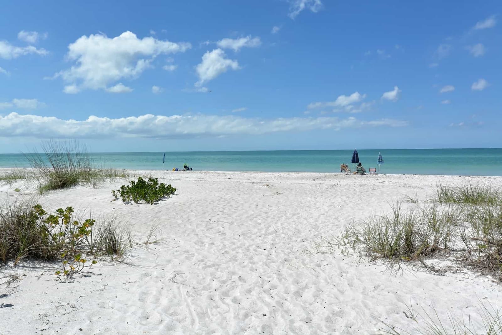 North florida, proposal setup by Cloud Nine